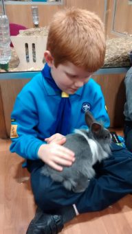 IMG_20180123_183856902